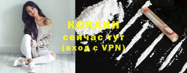 спайс Алексин