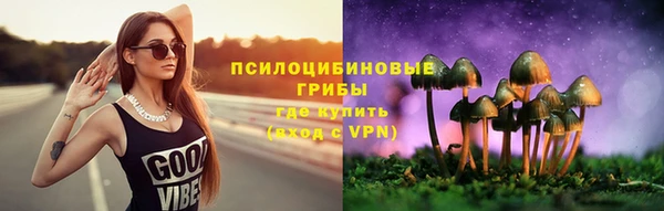 спайс Алексин