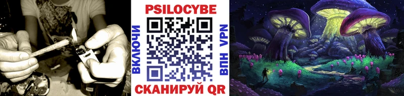 Галлюциногенные грибы мицелий  blacksprut ССЫЛКА  Белорецк  хочу  